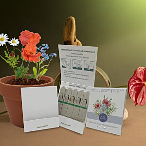 Additional Image 4 - a group of cards and a plant in a pot