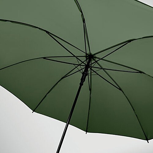 Additional Image 4 - a green umbrella with a black handle