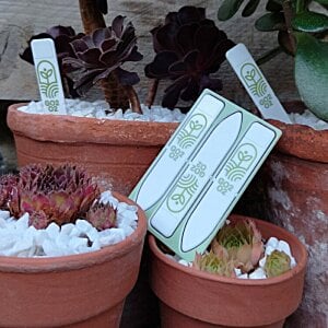 Additional Image 7 - a group of pots with plants