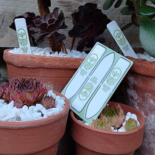 Additional Image 7 - a group of pots with plants