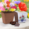 Additional Thumbnail Image 1 - a flower pot with flowers and chocolate