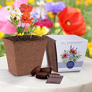 Additional Image 2 - a flower pot with a box and chocolate