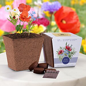 Additional Image 1 - a flower pot with flowers and chocolate