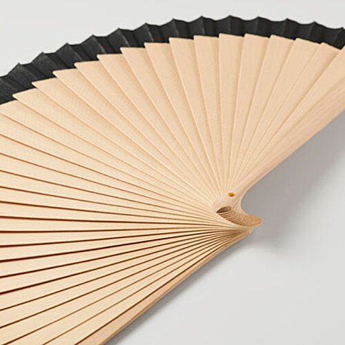 Additional Image 6 - a fan with black trim