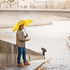 View Image 6 of 5 of FARE AC Regular Umbrella