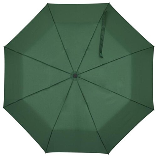Additional Image 5 - a green umbrella with a black handle