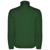 Additional Image 1 - a green jacket with a white background