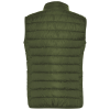 a green vest on a white background