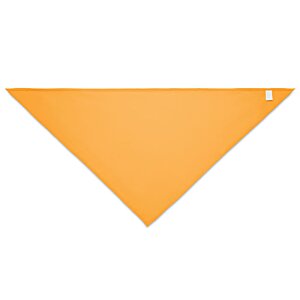 Additional Image 1 - a yellow triangle with a white background