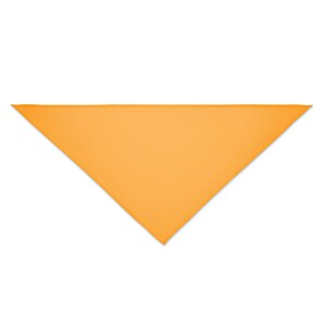 Additional Image 2 - a yellow triangle on a white background
