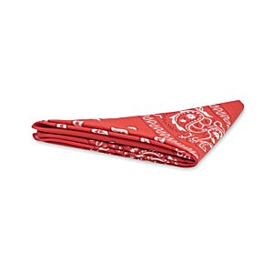 Additional Image 3 - a red bandana on a white background