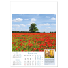 a calendar with a field of red flowers