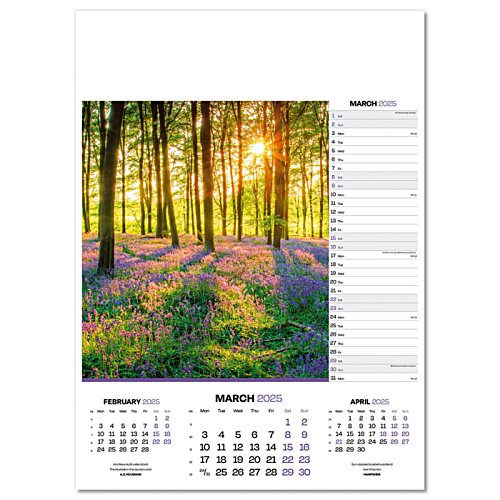 Additional Image 10 - a calendar with a picture of a forest