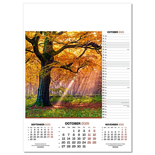 Additional Image 3 - a calendar with a tree