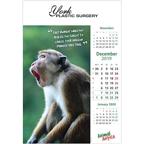 Additional Image 1 - a calendar with a monkey