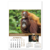 View Image 2 of 14 of Wall Calendar - Wildlife of The World