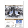 View Image 11 of 14 of Wall Calendar - Wildlife of The World