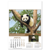 View Image 12 of 14 of Wall Calendar - Wildlife of The World