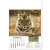 View Image 4 of 14 of Wall Calendar - Wildlife of The World