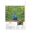 View Image 5 of 14 of Wall Calendar - Wildlife of The World