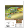 View Image 7 of 14 of Wall Calendar - Wildlife of The World