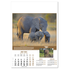 View Image 8 of 14 of Wall Calendar - Wildlife of The World