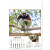 View Image 9 of 14 of Wall Calendar - Wildlife of The World