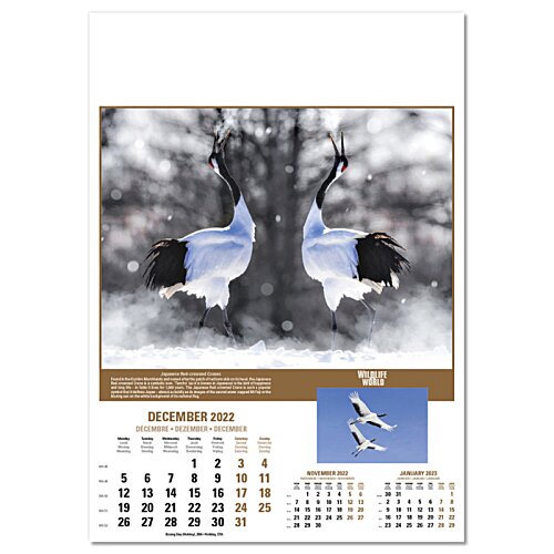 Additional Image 10 - a poster of a tree
