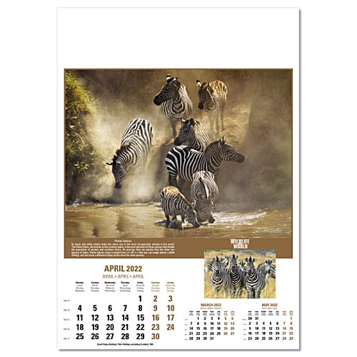 Additional Image 12 - a calendar with a picture of a man