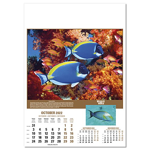 Additional Image 2 - a poster of fish and coral