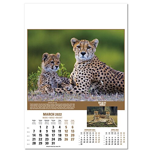 Additional Image 5 - a calendar with a couple of cheetahs