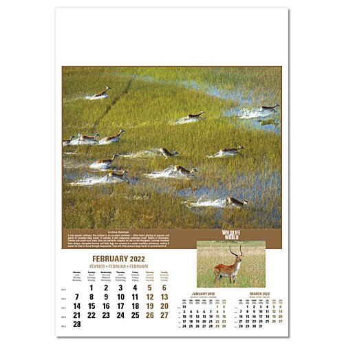 Additional Image 9 - a calendar with a picture of a field