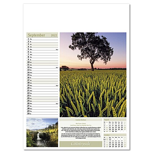 Additional Image 1 - a poster of a tree in a field