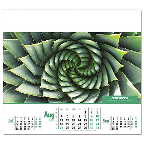 Additional Image 5 - a green spiral design on a white background