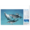 View Image 11 of 13 of Wall Calendar - Blue Planet
