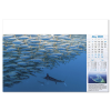 View Image 13 of 13 of Wall Calendar - Blue Planet
