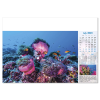View Image 4 of 13 of Wall Calendar - Blue Planet