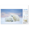 View Image 5 of 13 of Wall Calendar - Blue Planet