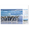 View Image 7 of 13 of Wall Calendar - Blue Planet