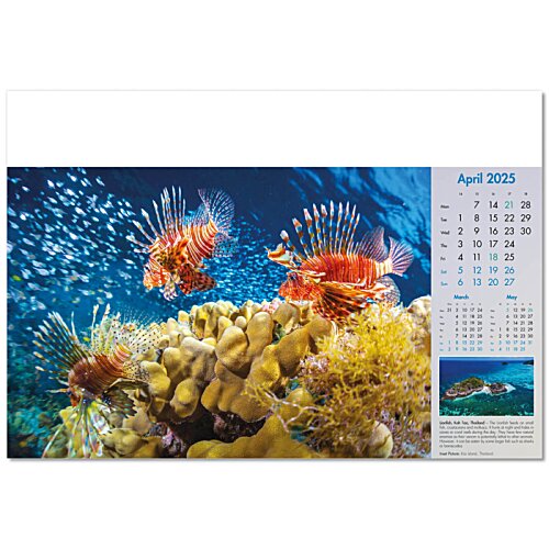 Additional Image 9 - a close-up of a coral reef