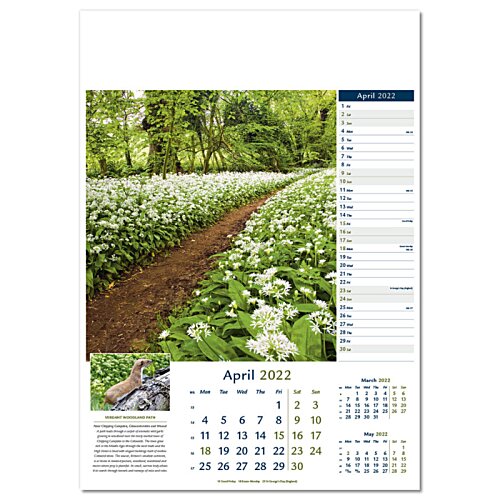 Additional Image 12 - a calendar with a picture of a garden