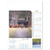 View Image 13 of 13 of Wall Calendar - Notable Wildlife