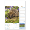 View Image 5 of 13 of Wall Calendar - Notable Wildlife