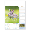 View Image 6 of 13 of Wall Calendar - Notable Wildlife