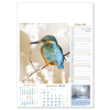 View Image 9 of 13 of Wall Calendar - Notable Wildlife
