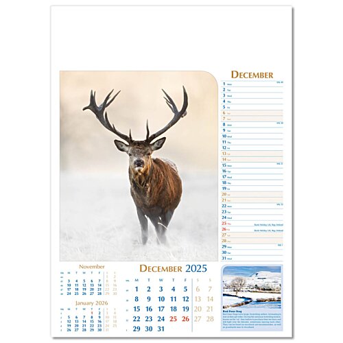 Additional Image 1 - a deer with antlers on a white background