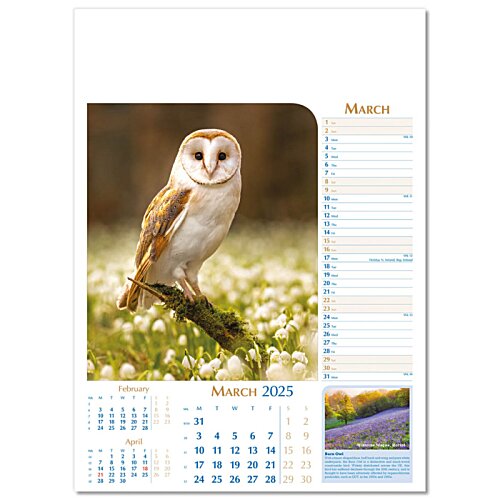 Additional Image 10 - a calendar with an owl
