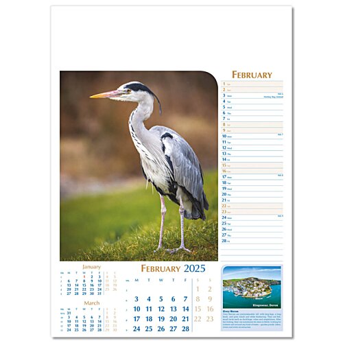 Additional Image 11 - a bird on a calendar