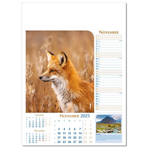 Additional Image 2 - a fox on a calendar