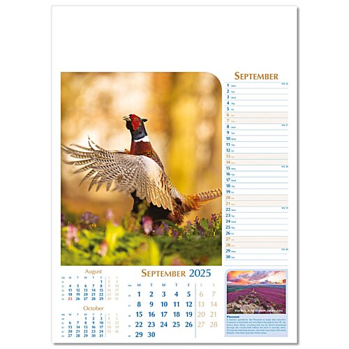 Additional Image 4 - a calendar page with a picture of a bird